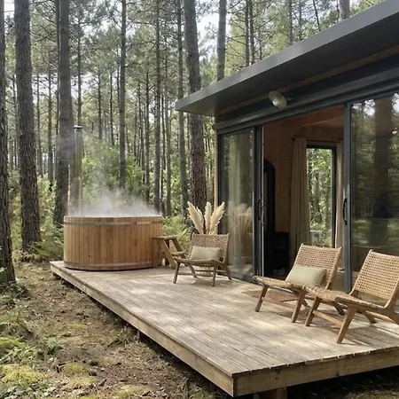 Hotel La Foret Paloma,