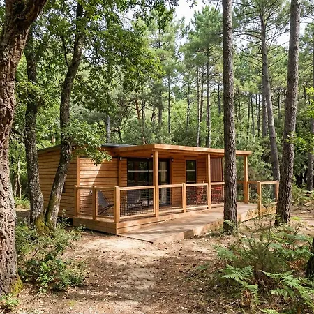 La Foret Paloma,