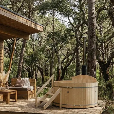 La Foret Paloma, *