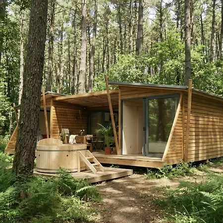 La Foret Paloma, * Léon