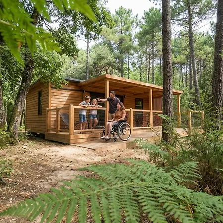 La Foret Paloma, *