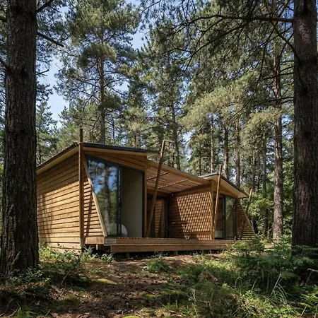 La Foret Paloma,