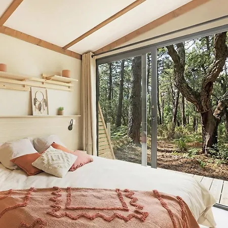 La Foret Paloma,