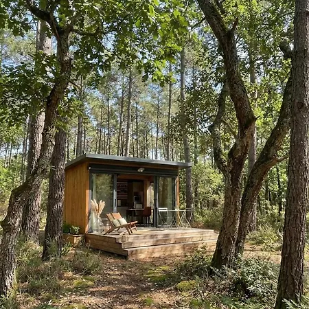 Hotel La Foret Paloma,