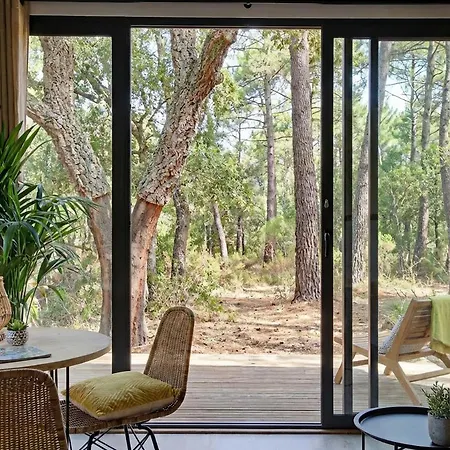 La Foret Paloma, Hotel Léon