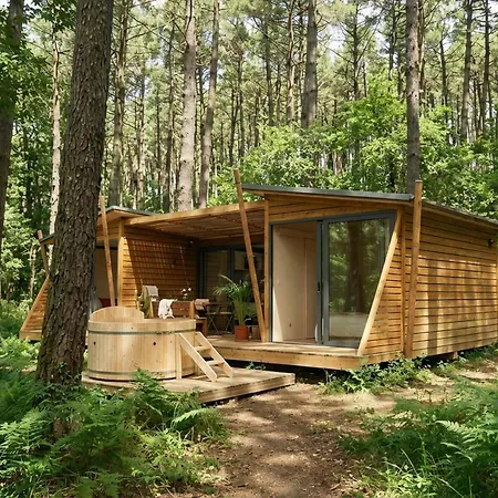 La Foret Paloma,